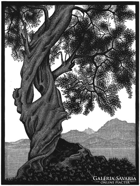 M. C. Escher grafika: Öreg olajfa, Korzika REPRINT nyomat, fekete fehér tájkép göcsörtös fa