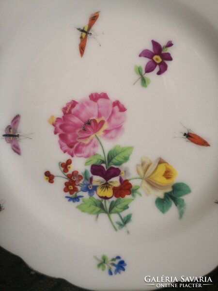 Ignatius Fischer plate, earliest period, hand painted with mannered painting