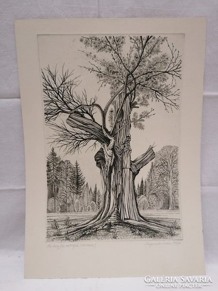 Iván Zsigovics, 1986, the flowers of the old tree, etching