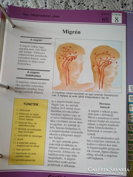 Családorvos, Az egészség enciklopédiája, gyűjthető sorozat, hiánytalan, alkudható