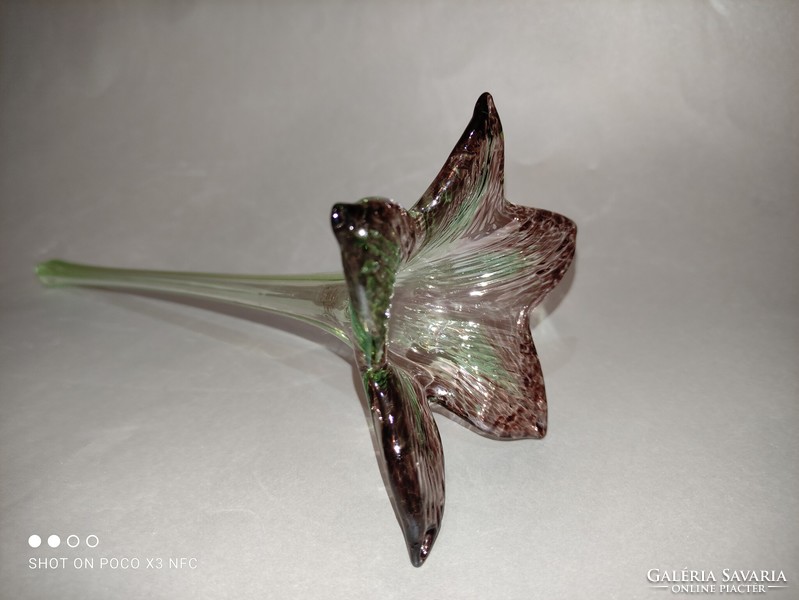 Parádi kristály üveg virág jelzett