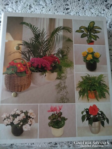 Indoor plants from a to z, collectible series, incomplete, negotiable