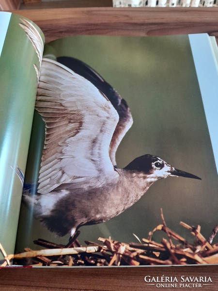 The Danube-Drava National Park - dr. Kalotás szolt HUF 11,000