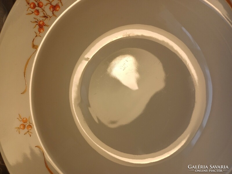 Alföldi  csipkebogyó mintás  porcelán tányérok 12 db