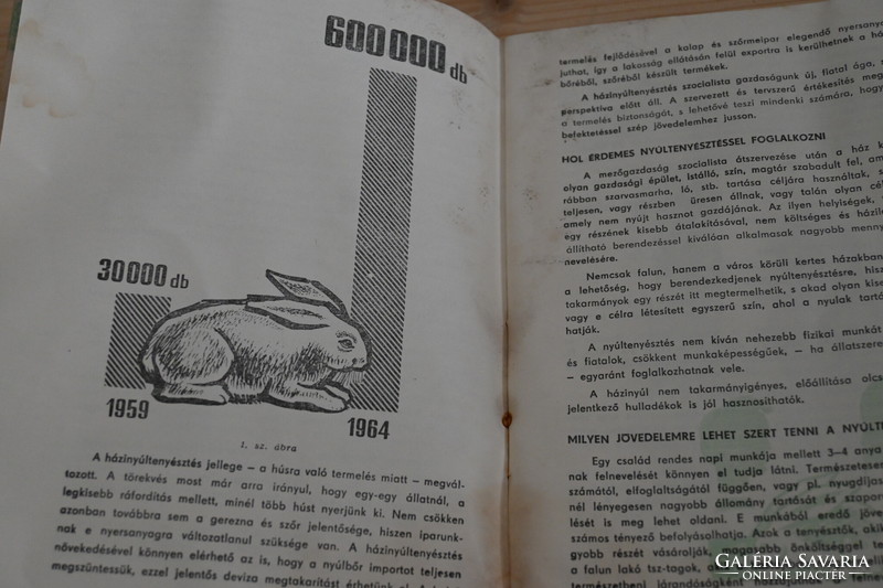 Raise more domestic rabbits, technical books, manuals