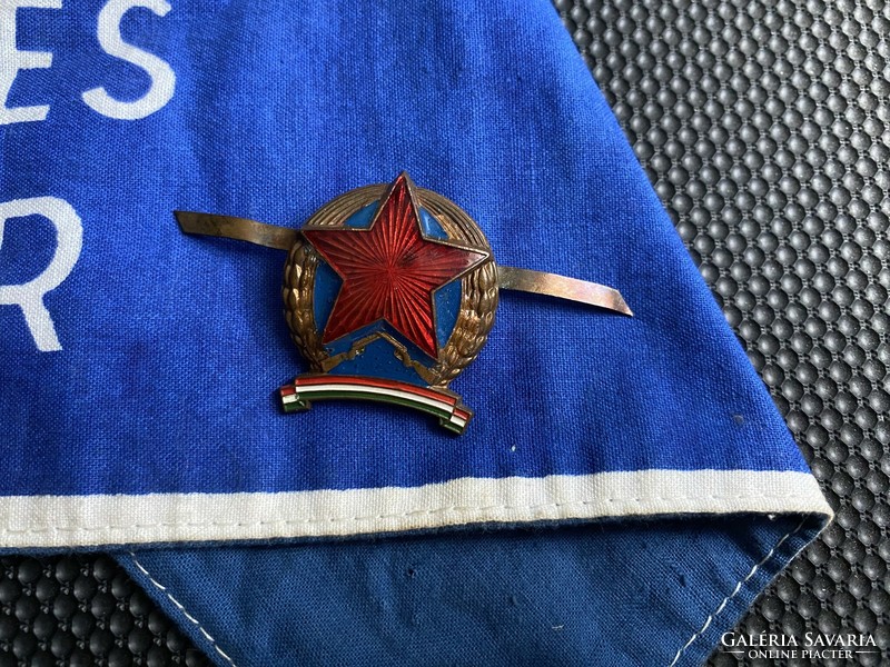 Volunteer police armband + badge