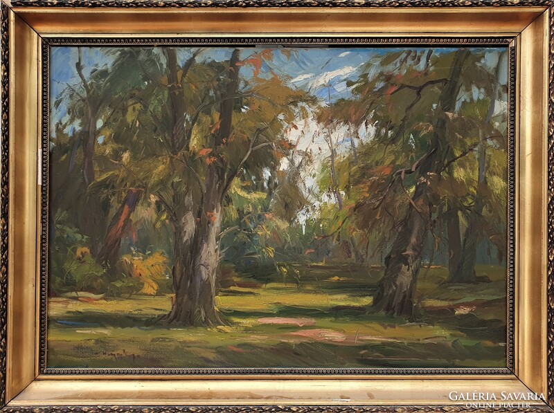 Metykó Gyula: Erdei út