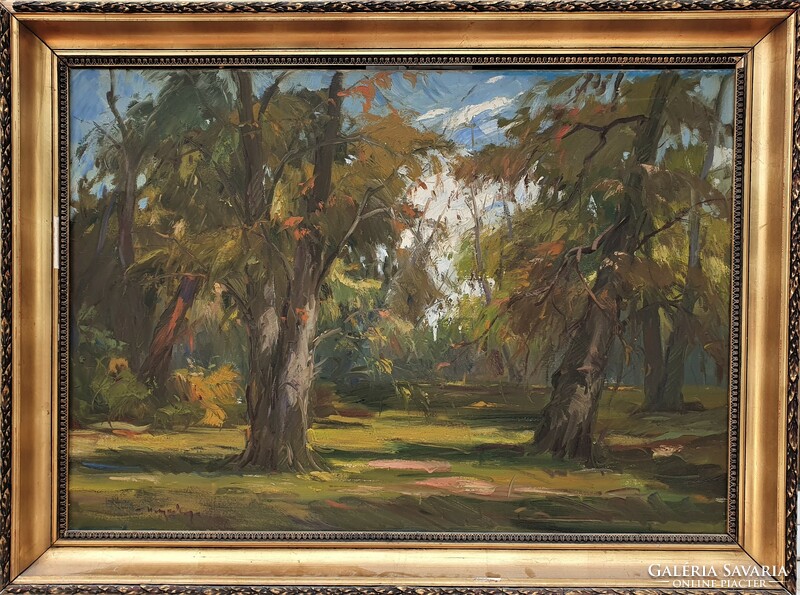 Metykó Gyula: Erdei út