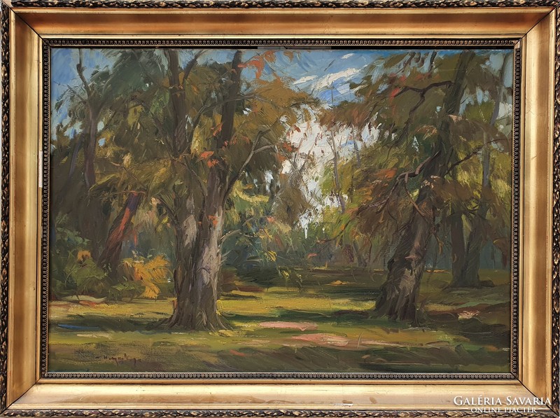 Metykó Gyula: Erdei út