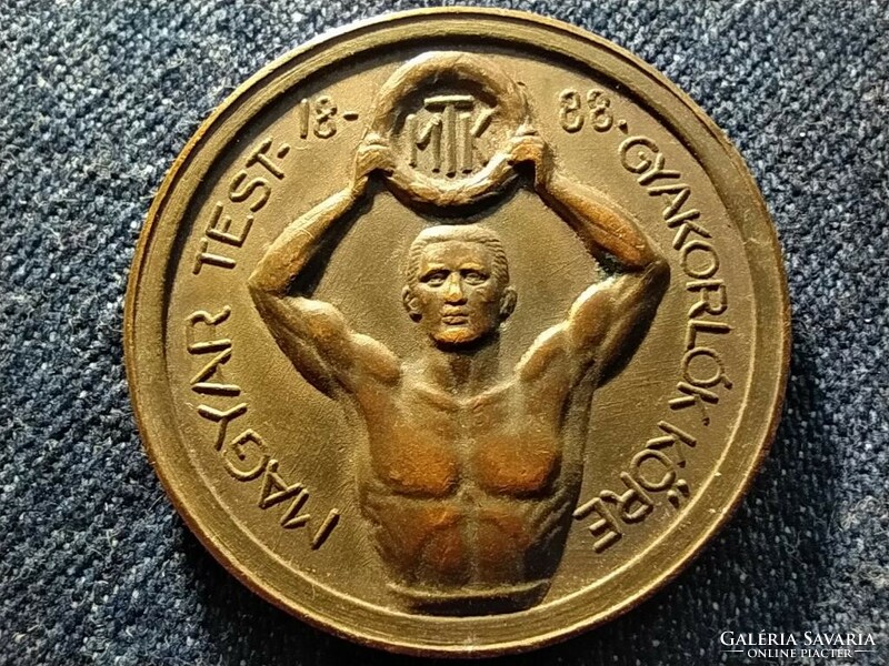 Circle of Hungarian physical exercisers - courage trust friendship bronze commemorative medal (id79274)