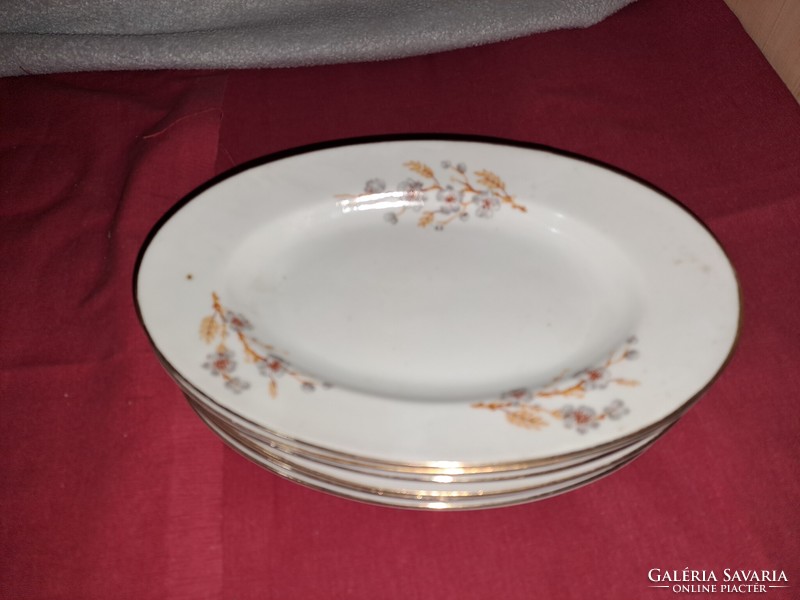 Porcelain plate set oval