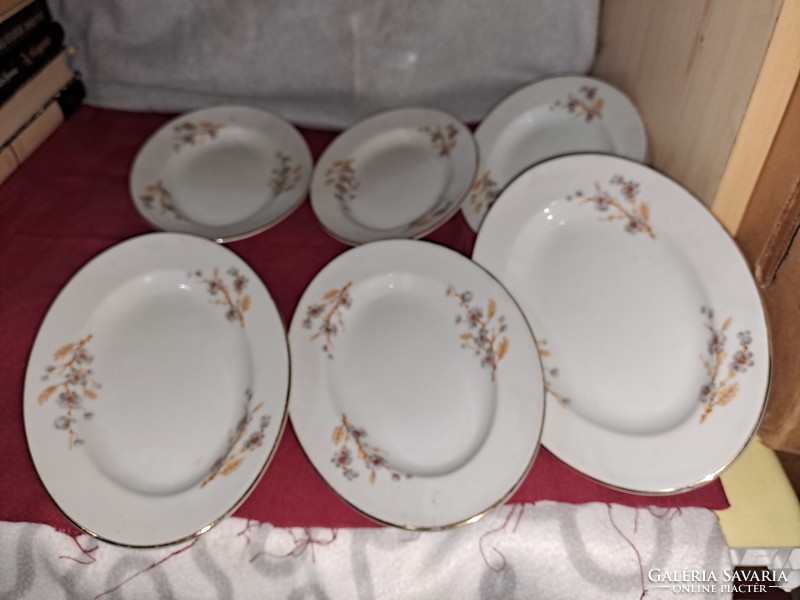 Porcelain plate set oval