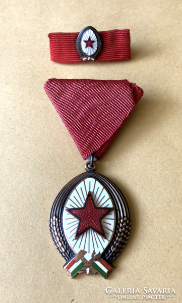 Bronze degree of the Order of Merit with ribbon and miniature - award