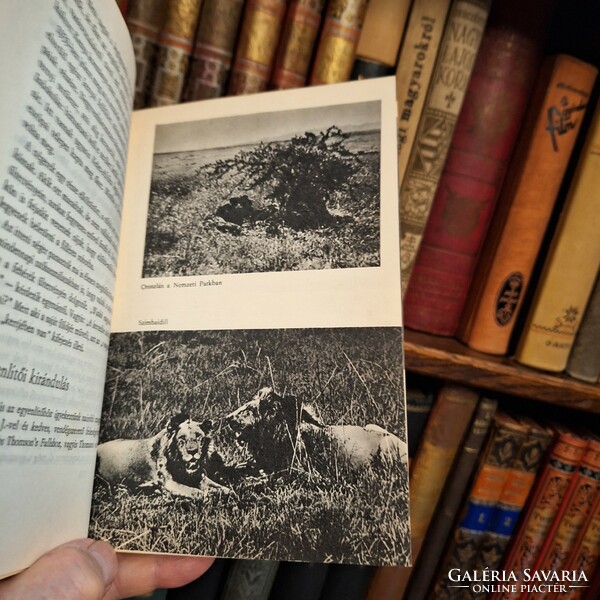 Hunting!! István Szuhai. Chick, chick! 1967 Sower publishing house