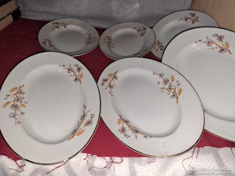 Porcelain plate set oval