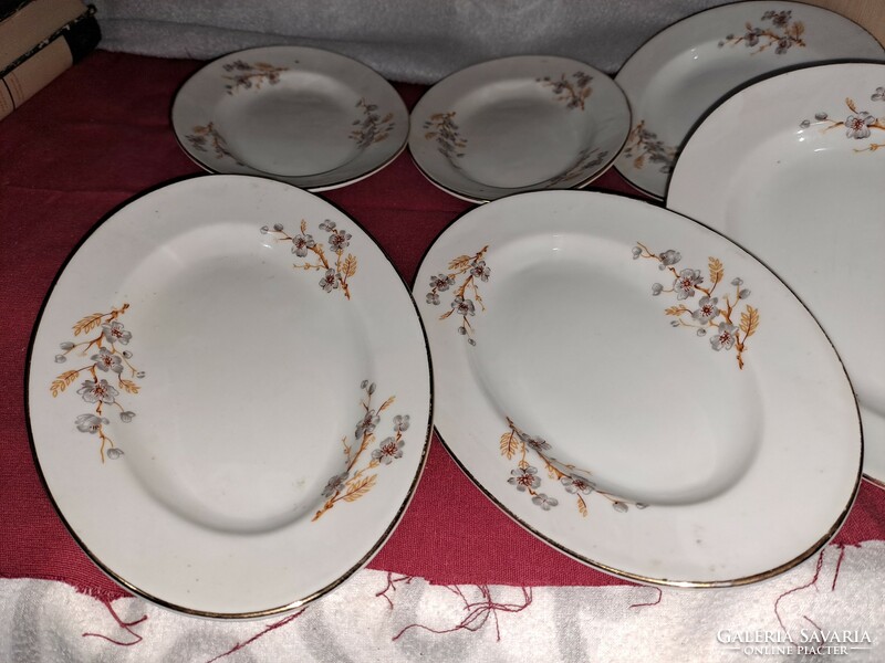 Porcelain plate set oval