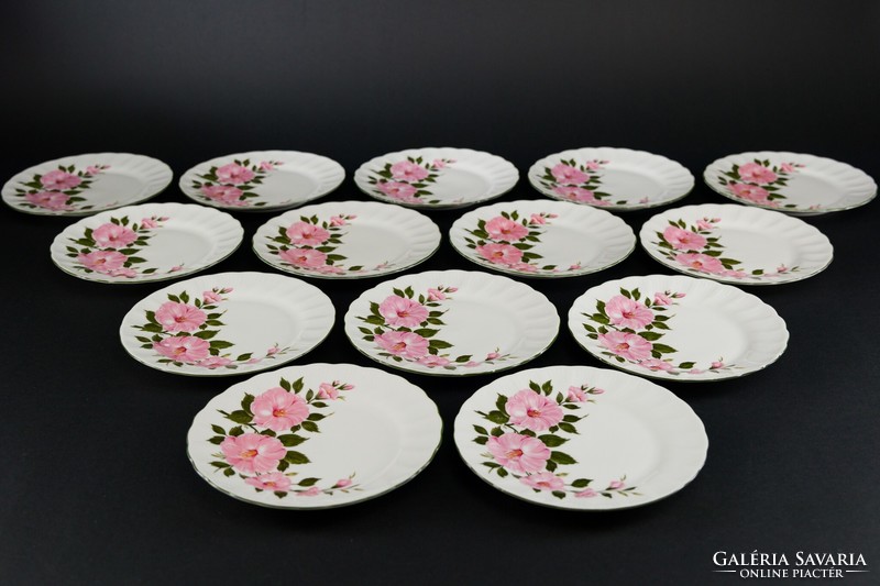 Bavaria winterling porcelain cake plates 14 pcs