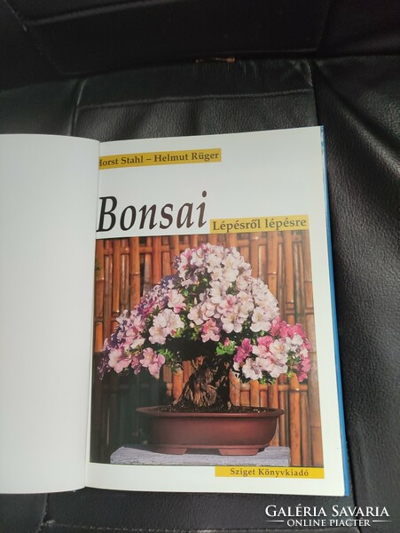Bonsai-step-by-step-Japanese garden art.-Bonsai..