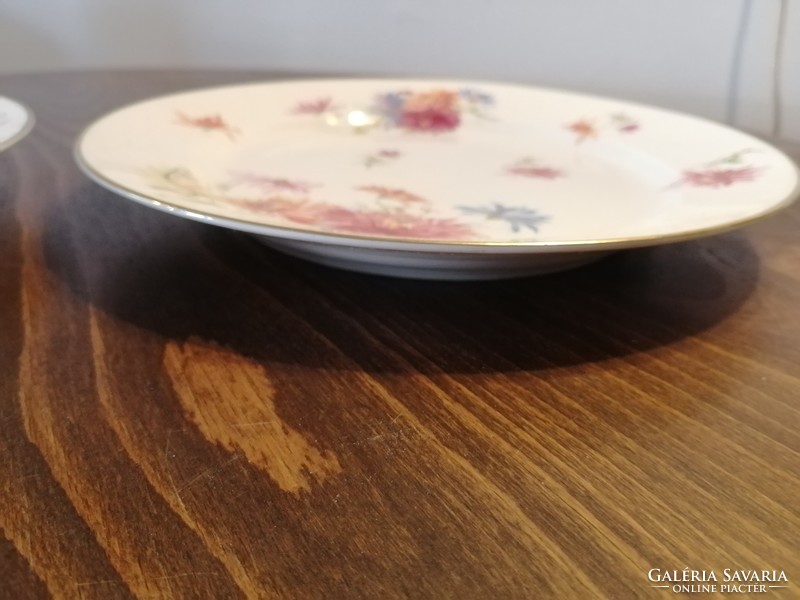 Antique Herend plate