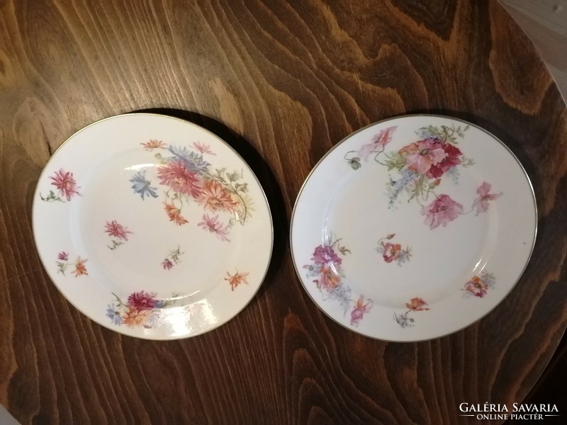 Antique Herend plate