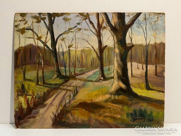 Sándor Járay (1926- ) forest road between bald trees, 1975 (oil on cardboard) /invoice provided/