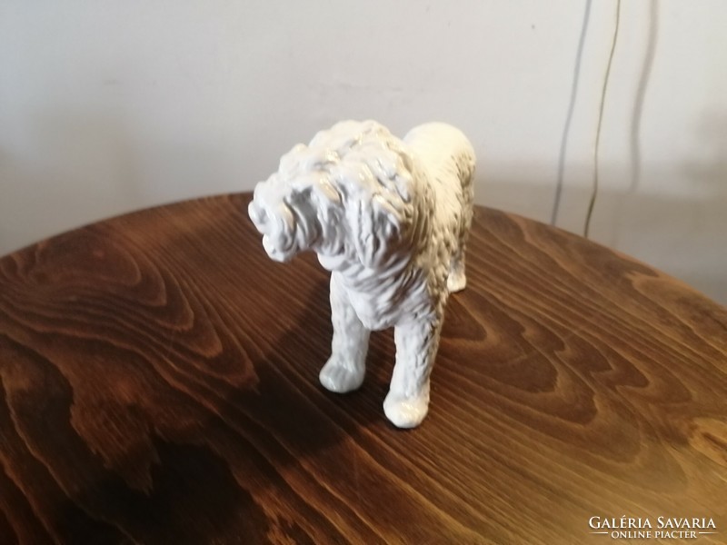 Herendi fehér komondor