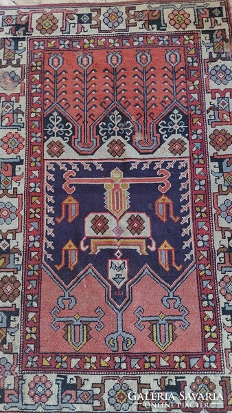 Carpet (19)