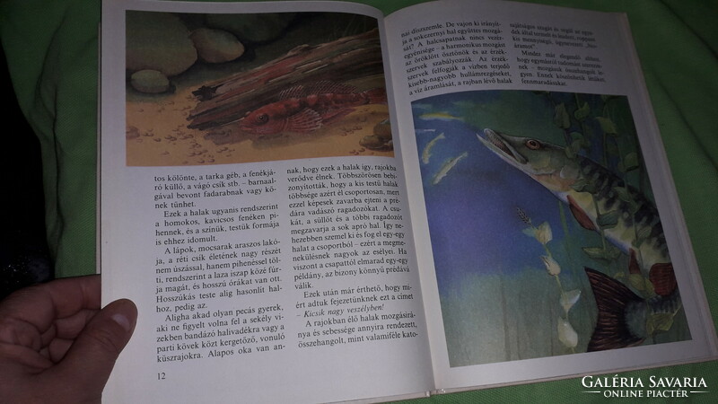 1984. Pénzes bethen: the cradle under the water, fairy tale book according to the pictures, mora