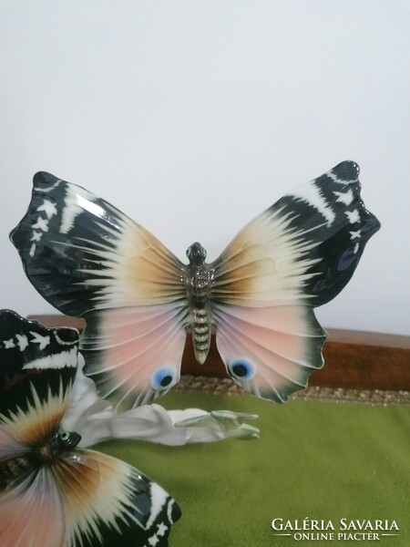 Beautiful large ens porcelain butterflies