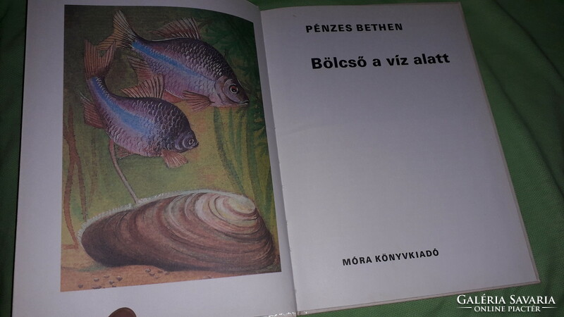 1984. Pénzes bethen: the cradle under the water, fairy tale book according to the pictures, mora