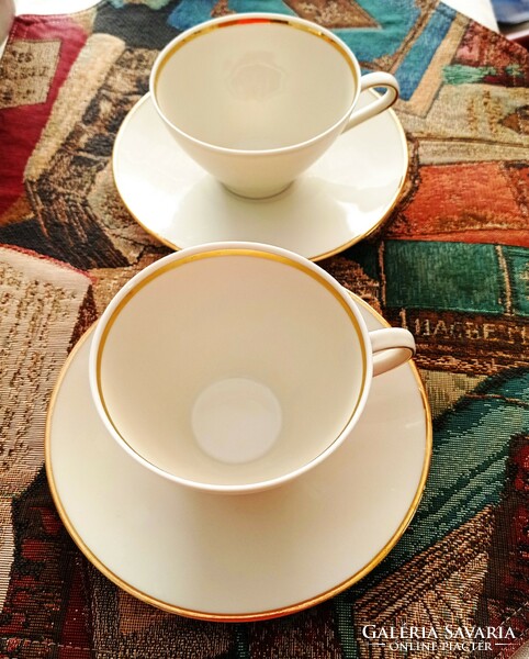 Porcelain tea cup with saucer, winterling, thick gilding