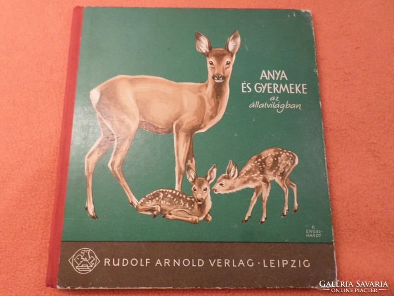 ANYA ﻿ÉS GYERMEKE ﻿﻿az állatvilágban A képeket rajzolta: Rudolf Engel-Hardt, Heinrich Dathe, 1959