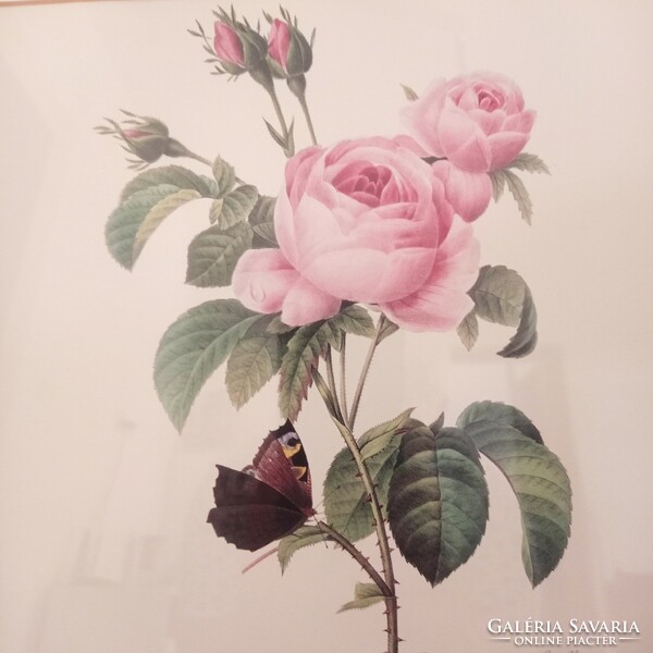 Rózsa és hortenzia mutatós fa keretben, üvegezve, 36,5 x 36,5 cm