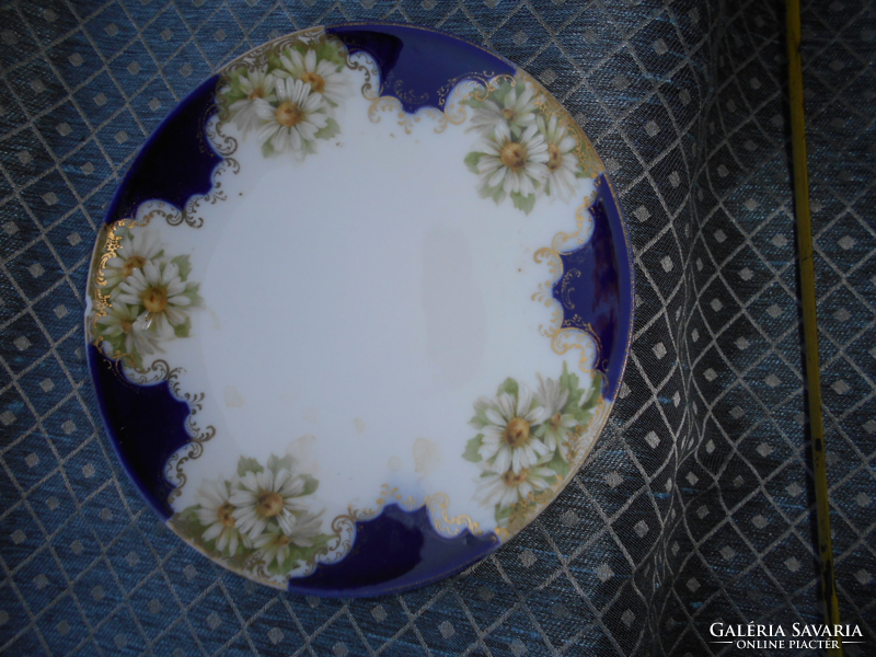 Rosenthal porcelain daisy pattern plate