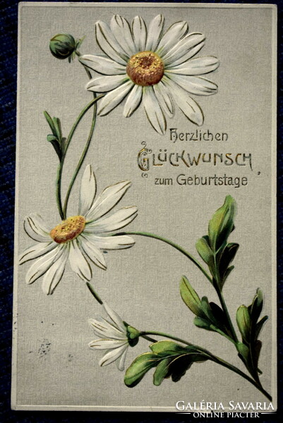 Antique embossed litho name day greeting card daisy