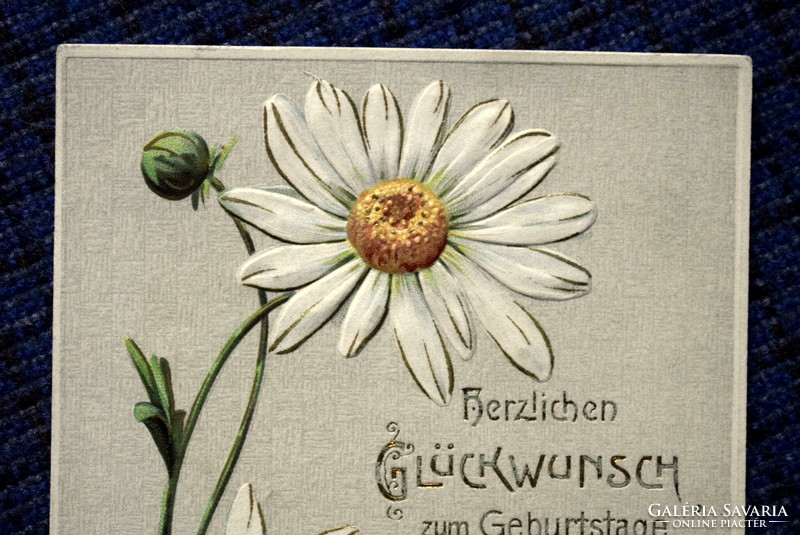 Antique embossed litho name day greeting card daisy