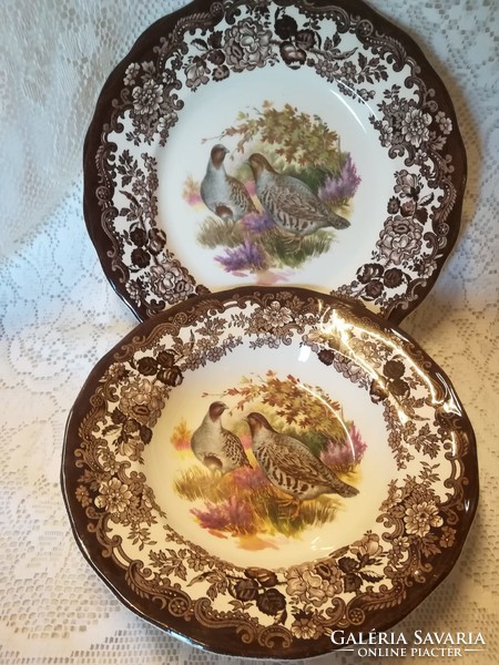 Royal Worcester palissy plate