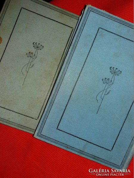 1915.Antik Rhoden Emmy : A kis makrancos II-III. leányregény könyv képek szerint Eisler G.