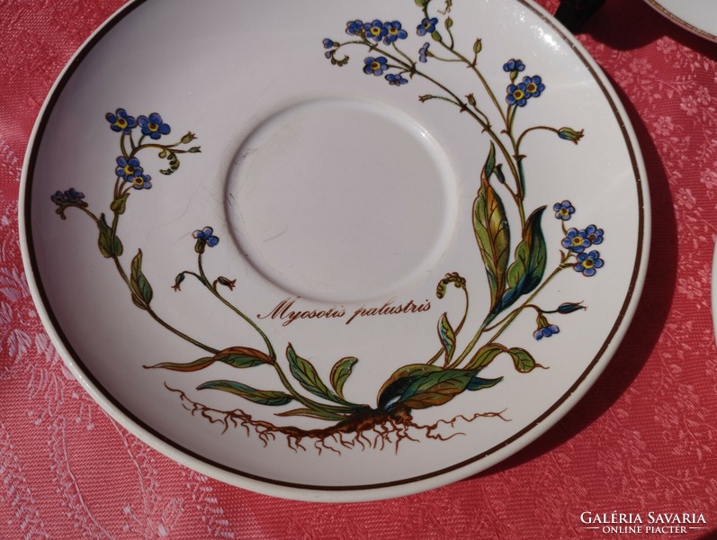 Villeroy & boch porcelain saucer, small plate with plant identification