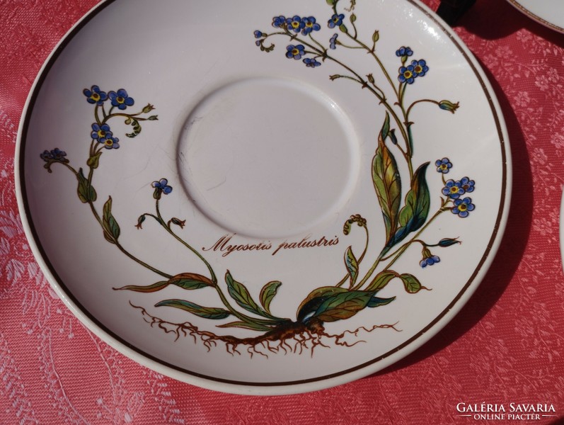 Villeroy & Boch növényhatározós porcelán csészealj, kistányér