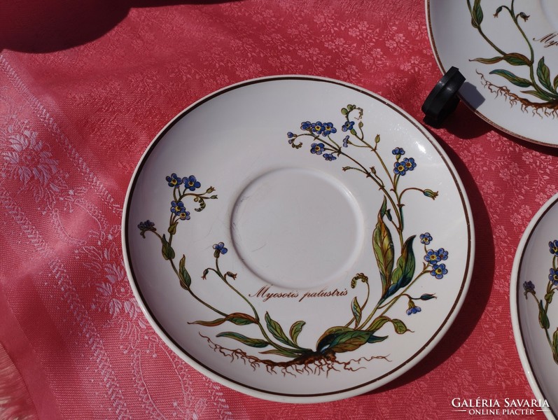 Villeroy & Boch növényhatározós porcelán csészealj, kistányér