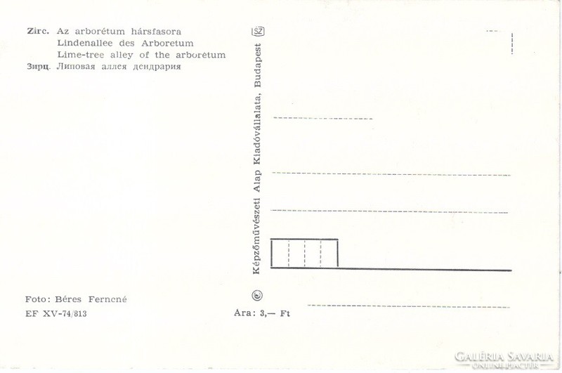 Képeslap 0058 Zirc Az arborétum hársfasora  postatiszta