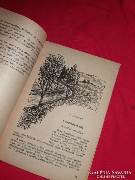 1949 Jelagin: blooming earth book according to pictures, new Hungarian book publisher