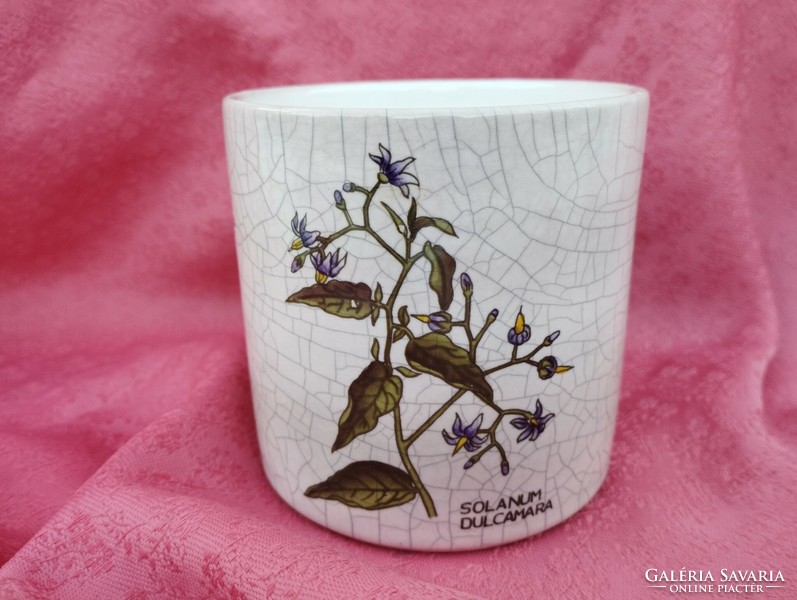 Növényhatározós porcelán teafűtartó
