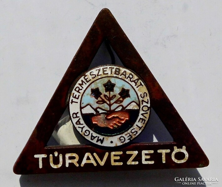 Old tour guide badge