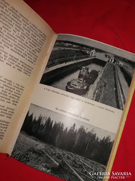 1949 Jelagin: blooming earth book according to pictures, new Hungarian book publisher