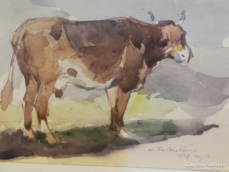 Cs. Lórinc Farkas cow 1948.