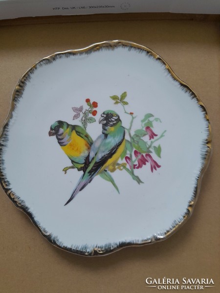Bird plate wall dis