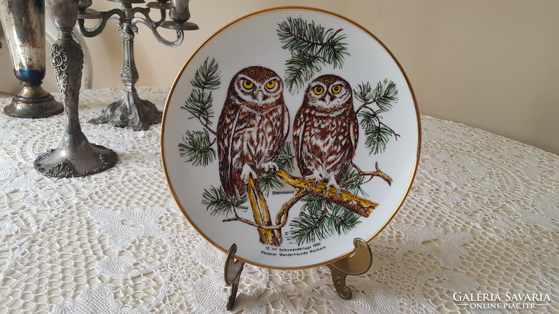Steinkauz beautiful decorative plate with an owl, wall decoration