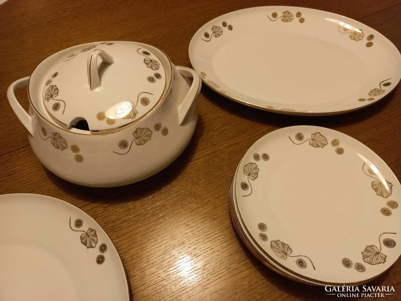 Nice condition epiag d.F. Czechoslovak 6-person tableware for sale.